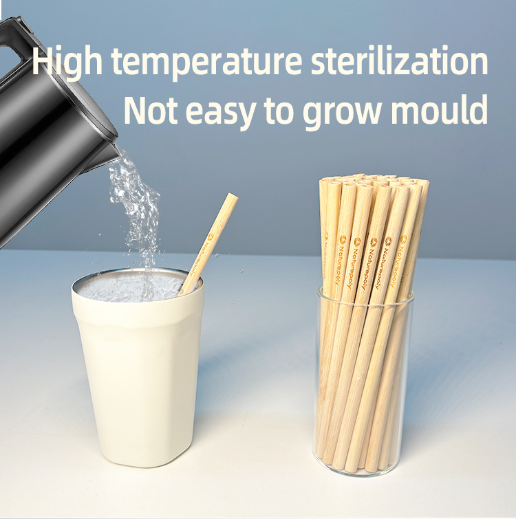Bamboo Straw - Image 2