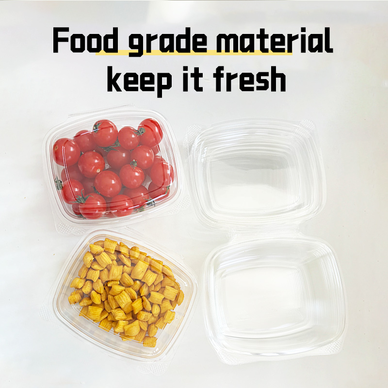 PLA Hinged Food Container - Image 2