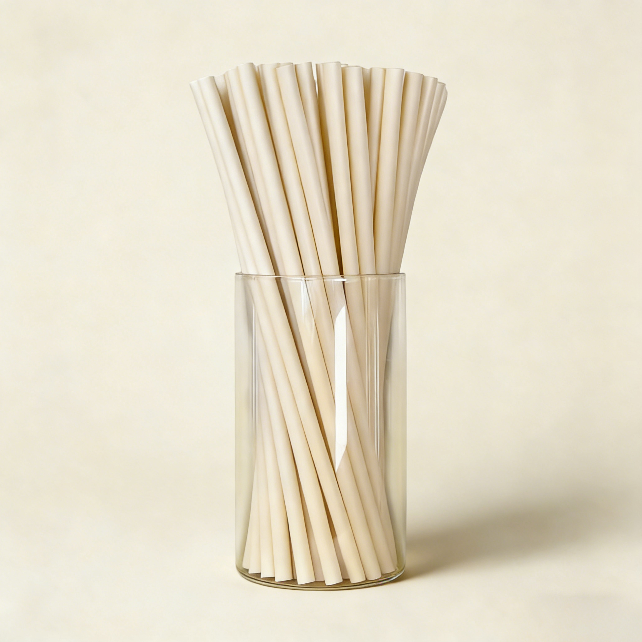 Bamboo Fiber Straw