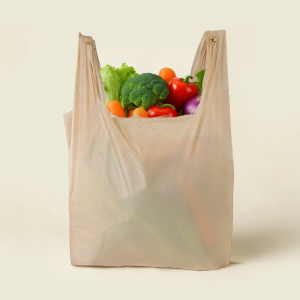 Sugarcane Bag
