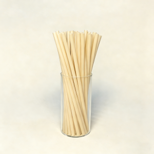 Non-PLA Sugarcane Straw
