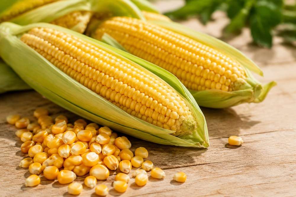PLA and PBAT pricing driven by corn feedstock
